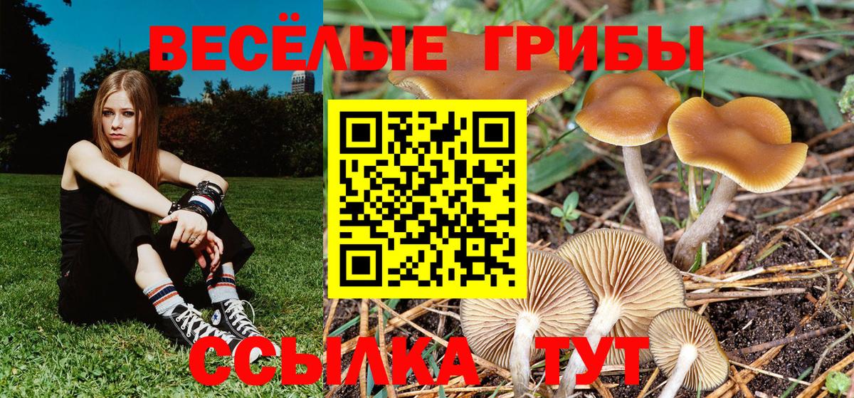 Галлюциногенные грибы ЛСД Копейск