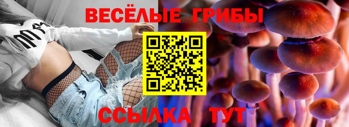 Копейск  Галлюциногенные грибы Psilocybe  Вход с VPN 